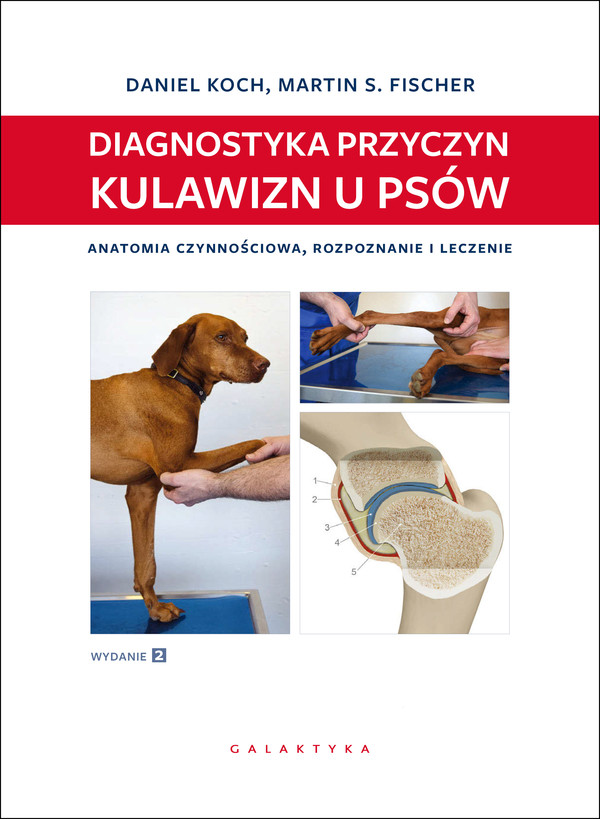 Diagnostyka przyczyn kulawizn u psów Anatomia czynnościowa, rozpoznanie i leczenie. Wydanie 2 rozszerzone