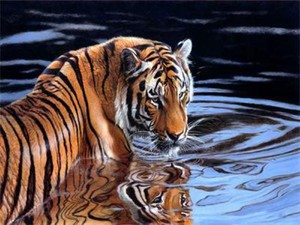 Diamentowa mozaika Tygrys w wodzie