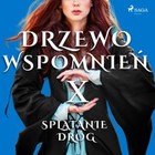 Drzewo Wspomnień X - Audiobook mp3 Splątanie dróg