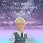 Piekielny Witia - Audiobook mp3 Dworek pod Malwami Tom 8