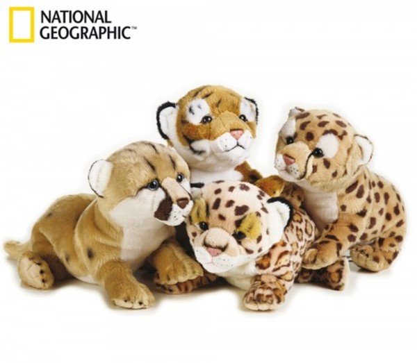 National Geographic Dzieci zwierząt z rodziny kotów