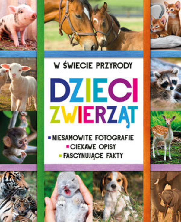 Dzieci zwierząt W świecie przyrody