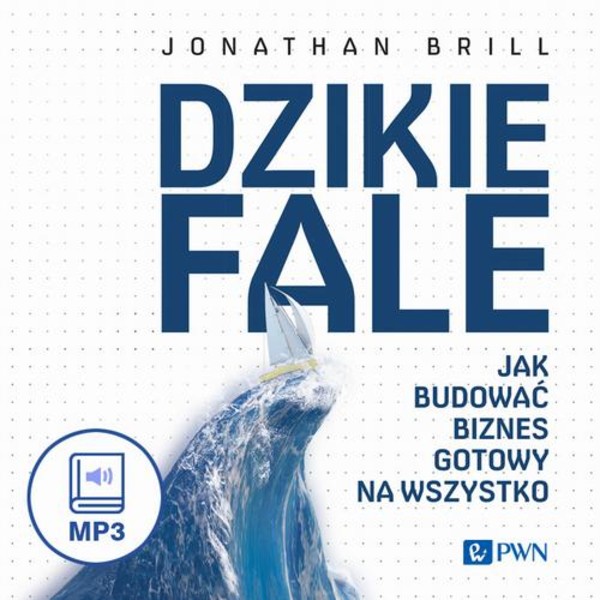 Dzikie fale - Audiobook mp3