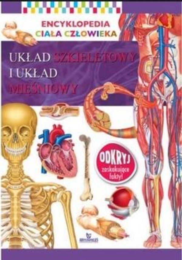 Encyklopedia ciała człowieka. Układ szkieletowy i układ mięśniowy