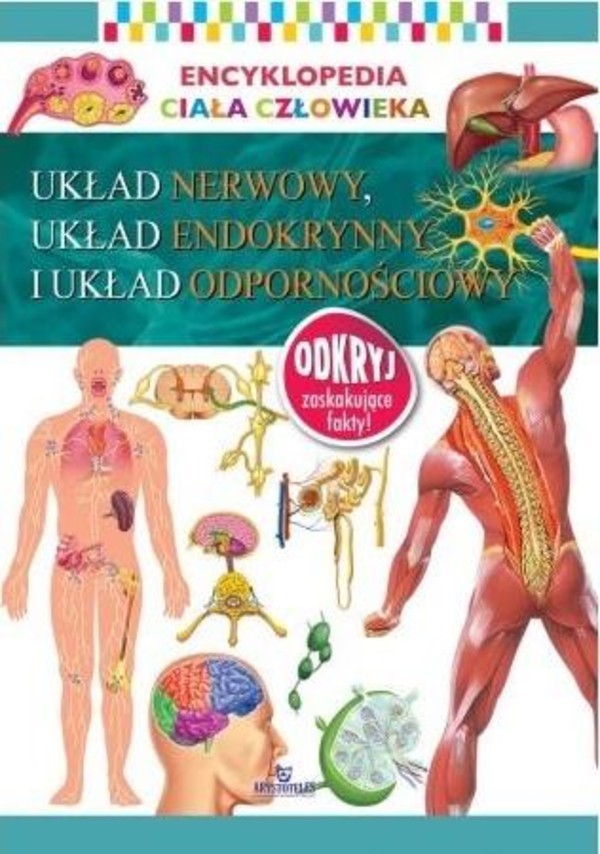 Encyklopedia ciała człowieka. Układ nerwowy, układ endokrynny i układ odpornościowy