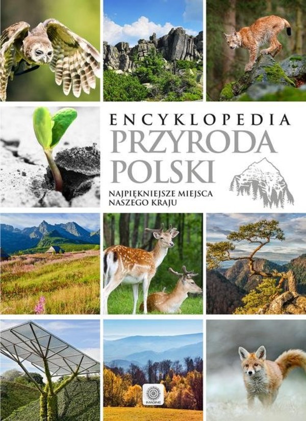 Encyklopedia Przyroda Polski Najpiękniejsze miejsca naszego kraju