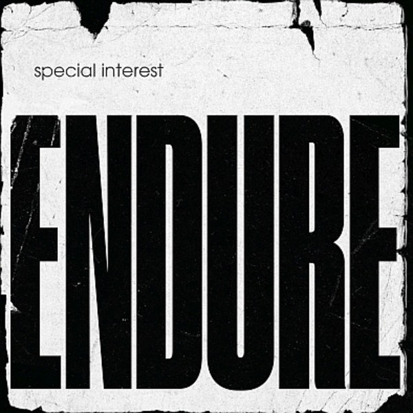 Endure (vinyl)