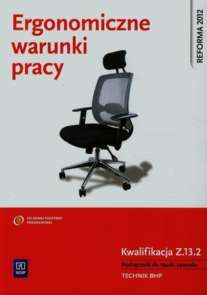 Ergonomiczne warunki pracy. Kwalifikacja Z.13.2. Podręcznik do nauki zawodu technik BHP