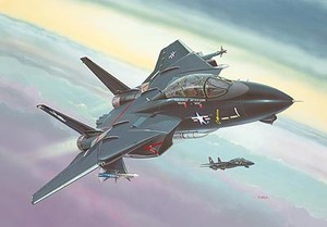F-14A `Black Tomcat` Skala 1:144