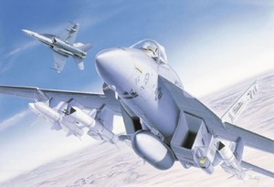 F/A-18E Super Hornet Skala 1:72
