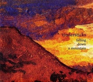 Falling Down A Mountain (vinyl)