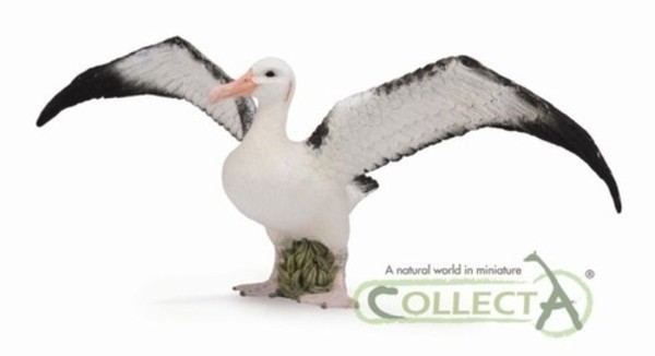 Figurka Albatros wędrowny Rozmiar L