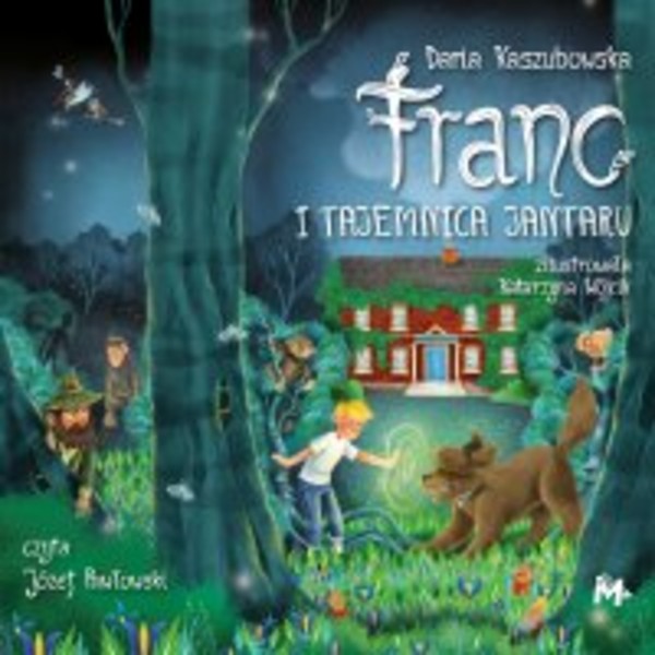 Franc i tajemnica Jantaru - Audiobook mp3 Borkowie i kaszubskie przygody Tom 1