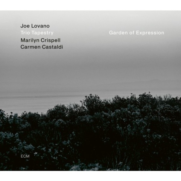 Garden of Expression (vinyl)