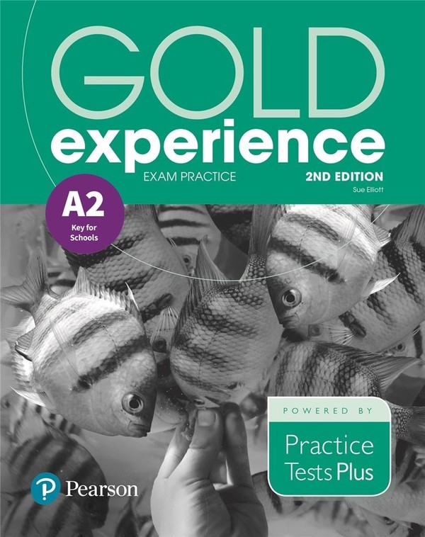 Gold Experience A2. Exam Practice Wydanie 2
