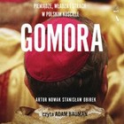 Gomora - Audiobook mp3 Władza, strach i pieniądze w polskim Kościele