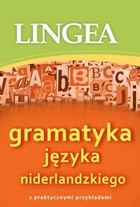 Okładka:Gramatyka języka niderlandzkiego z praktycznymi przykładami 