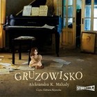 Gruzowisko - Audiobook mp3