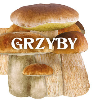 Grzyby