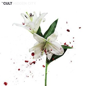 Hidden City (vinyl)