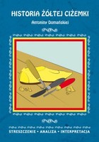 Historia żółtej ciżemki Antoniny Domańskiej - pdf Streszczenie, analiza, interpretacja