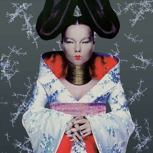 Homogenic (vinyl)