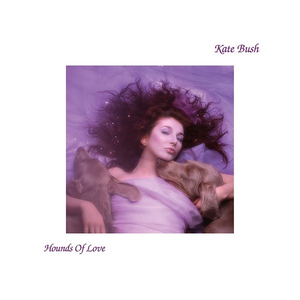 Hounds Of Love (Remastered) (vinyl)