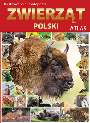 Ilustrowana encyklopedia zwierząt Polski Atlas