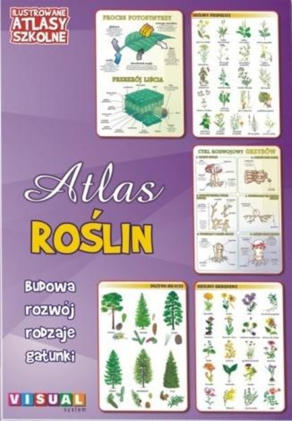 Atlas roślin Ilustrowane atlasy szkolne
