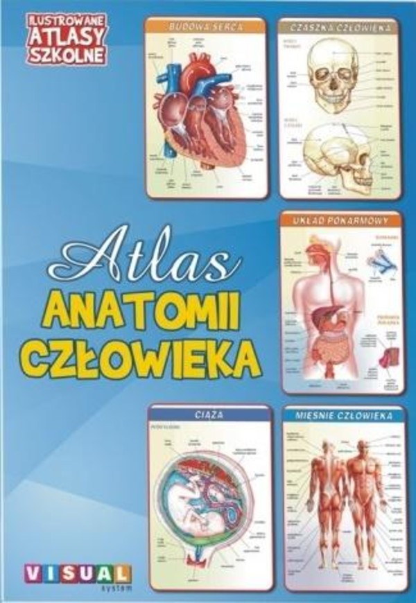 Atlas anatomii człowieka Ilustrowane atlasy szkolne
