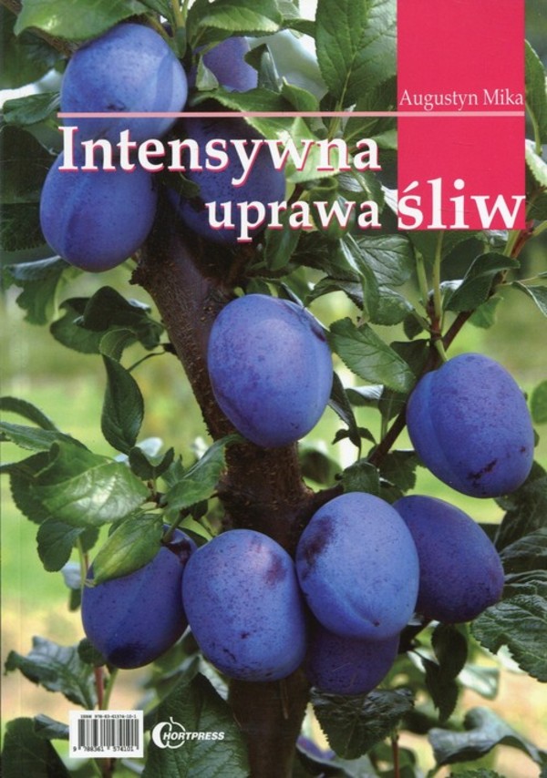 Intensywna uprawa śliw