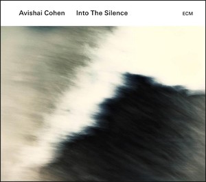 Into The Silence (vinyl)
