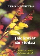 Jak kwiat do słońca