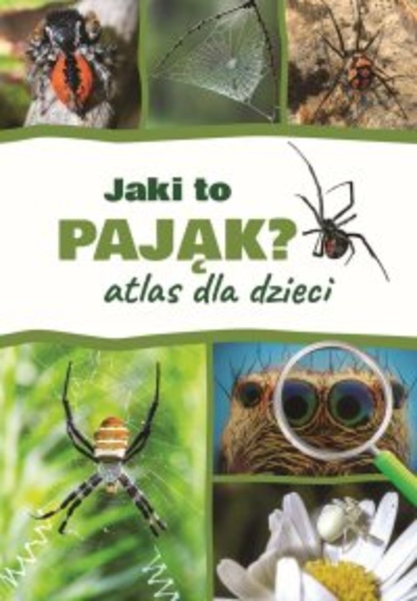 Jaki to pająk? Atlas dla dzieci - pdf