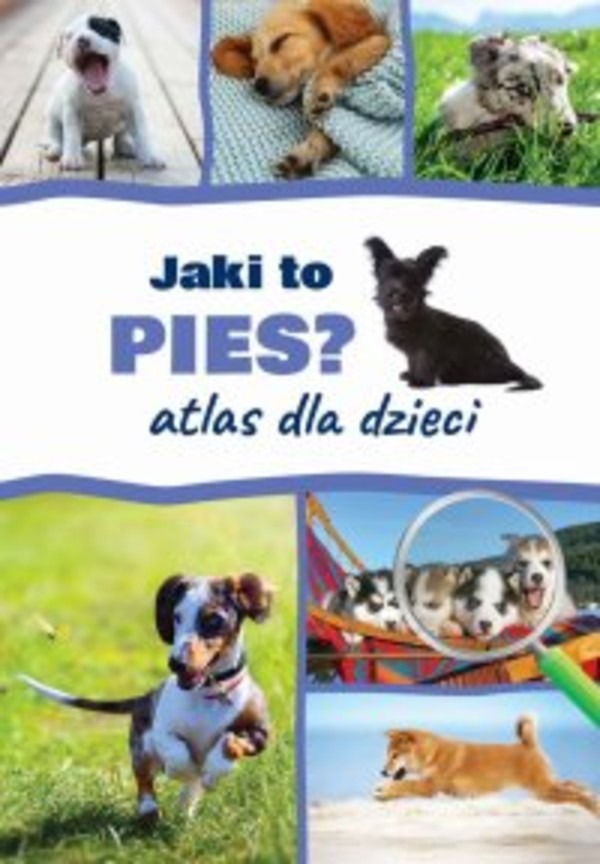 Jaki to pies? Atlas dla dzieci - pdf