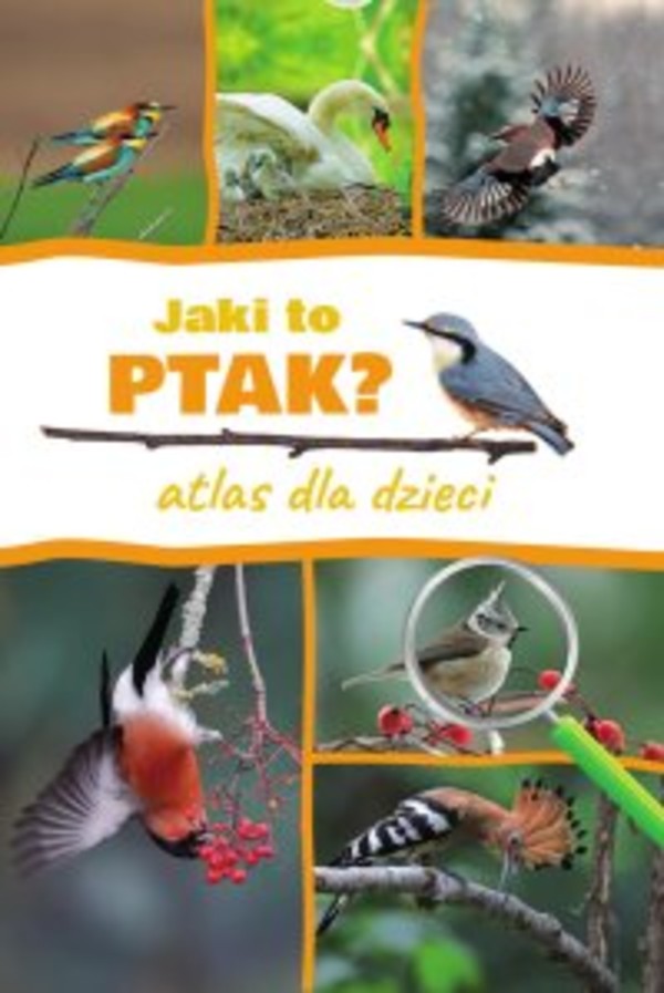 Jaki to ptak? Atlas dla dzieci - pdf