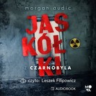 Jaskółki z Czarnobyla - Audiobook mp3