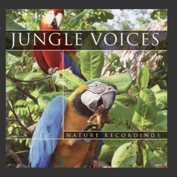 Jungle Voices