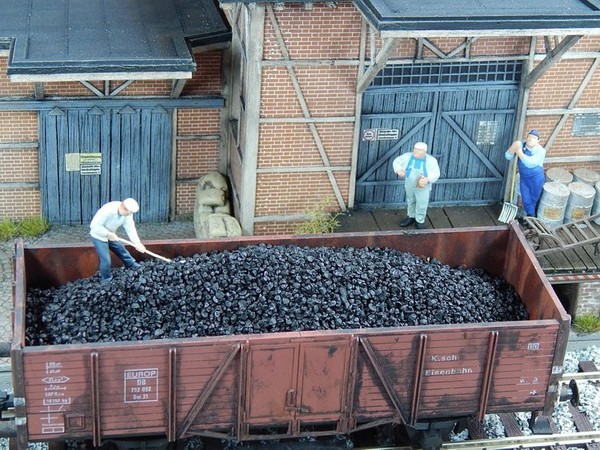 Węgiel czarny 100 g