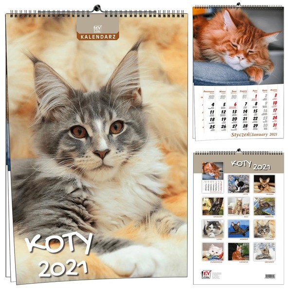 Kalendarz ścienny 2021 Koty 7-planszowy