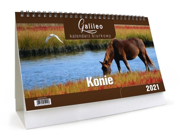 Kalendarz biurkowy 2021 Galileo Konie