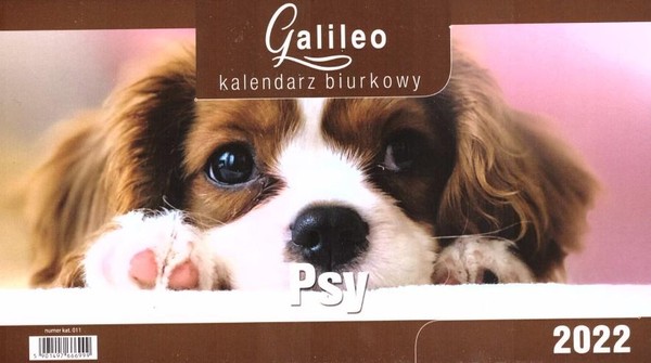 Kalendarz 2022 Biurkowy Galileo Psy