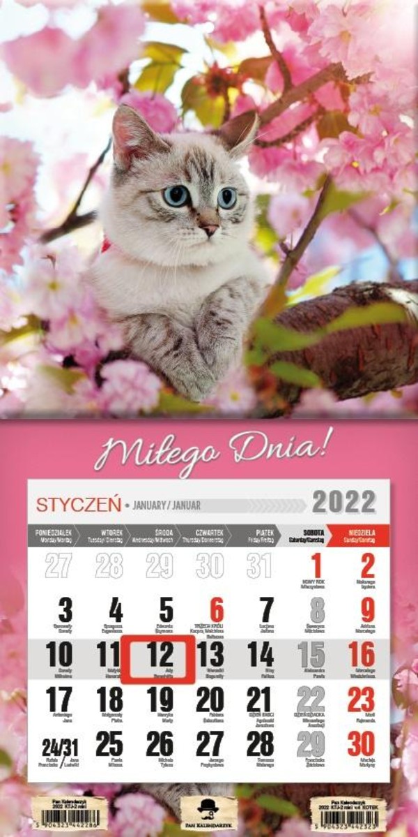 Kalendarz 2022 jednodzielny mini z magnesem Kotek