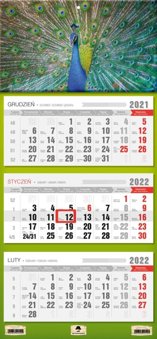 Kalendarz 2022 trójdzielny Paw