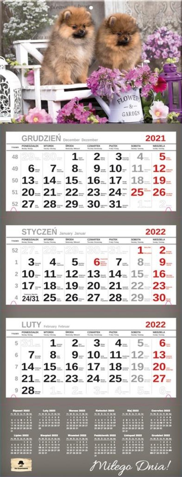Kalendarz 2022 trójdzielny Premium Pieski