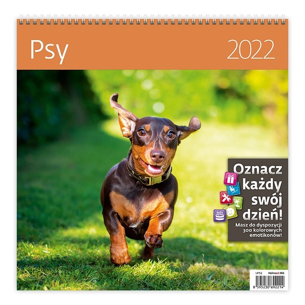 Kalendarz 2022 z naklejkami Psy