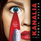 Kanalia - Audiobook mp3
