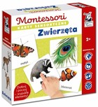 Kapitan Nauka Montessori Karty sensoryczne Zwierzęta 2+