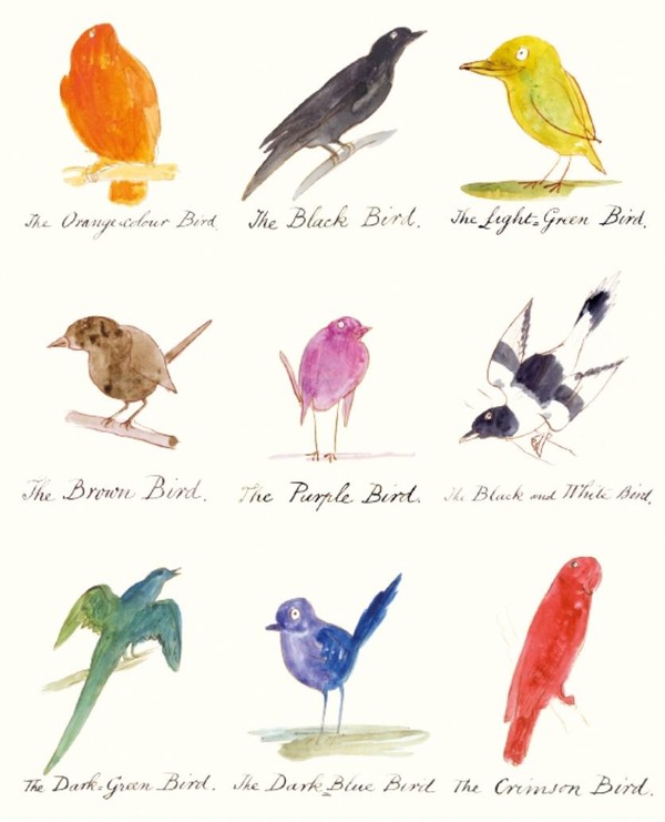 Karnet z kopertą Drawings of comic birds