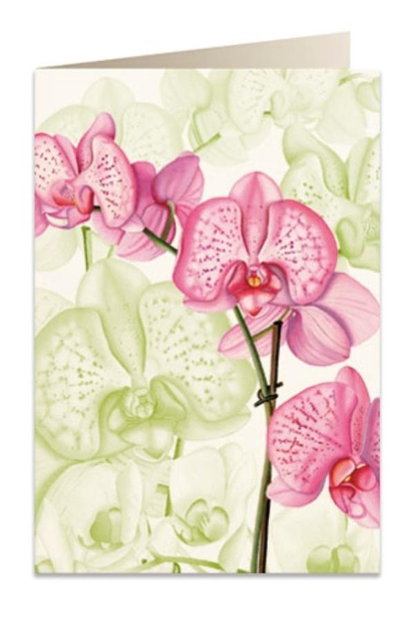 Karnet B6 + koperta Różowa orchidea 5722